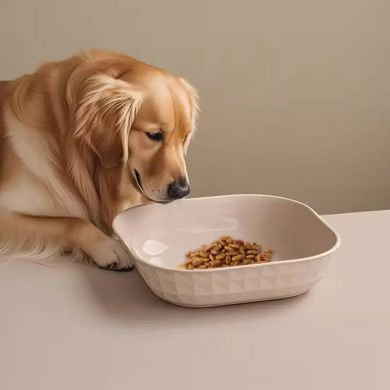 Set of 4 Leak-Proof Cat Bowls, Durable Plastic Pet Food & Water Bowl Set, Anti-Fatigue Design, Easy Clean, Ideal for Indoor Cats