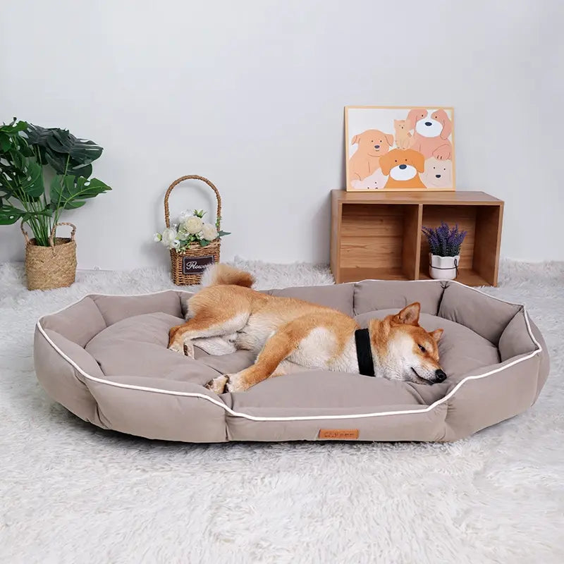 All-Season Anti-Slip Plush Dog Bed with Washable Cushion and Durable Base for Ultimate Comfort