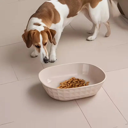 Set of 4 Leak-Proof Cat Bowls, Durable Plastic Pet Food & Water Bowl Set, Anti-Fatigue Design, Easy Clean, Ideal for Indoor Cats